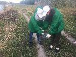25 сентября 2019 года волонтеры с. Белая Глина приняли участие в экологической акции "Чистые берега".