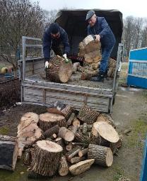 Молодые депутаты помогают обеспечить сельчан дровами на зиму.