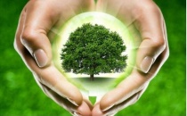 «Сдай макулатуру – спаси дерево!»